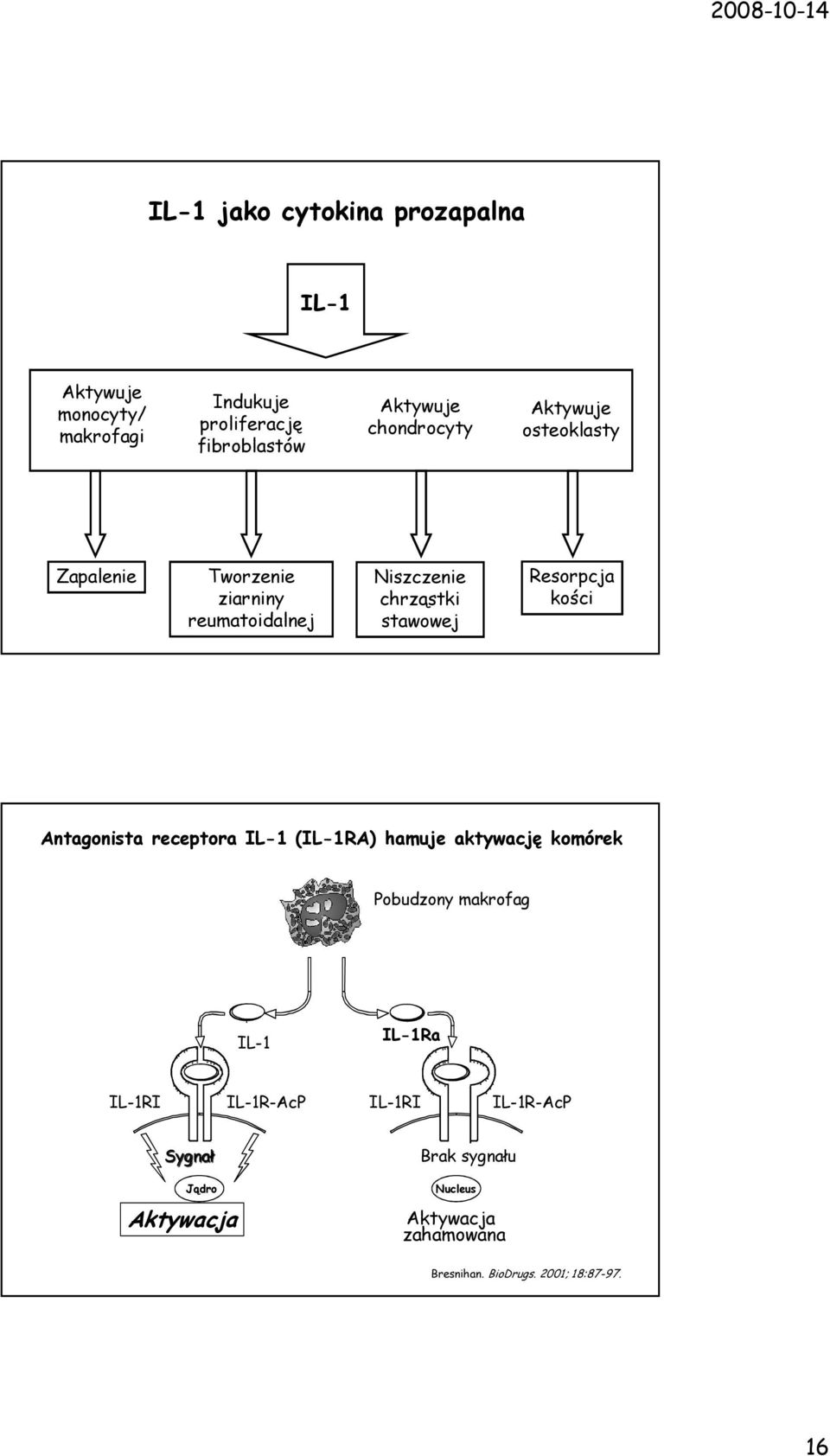 Resorpcja kości Antagonista receptora IL-1 (IL-1RA) hamuje aktywację komórek Pobudzony makrofag IL-1 IL-1Ra IL-1RI