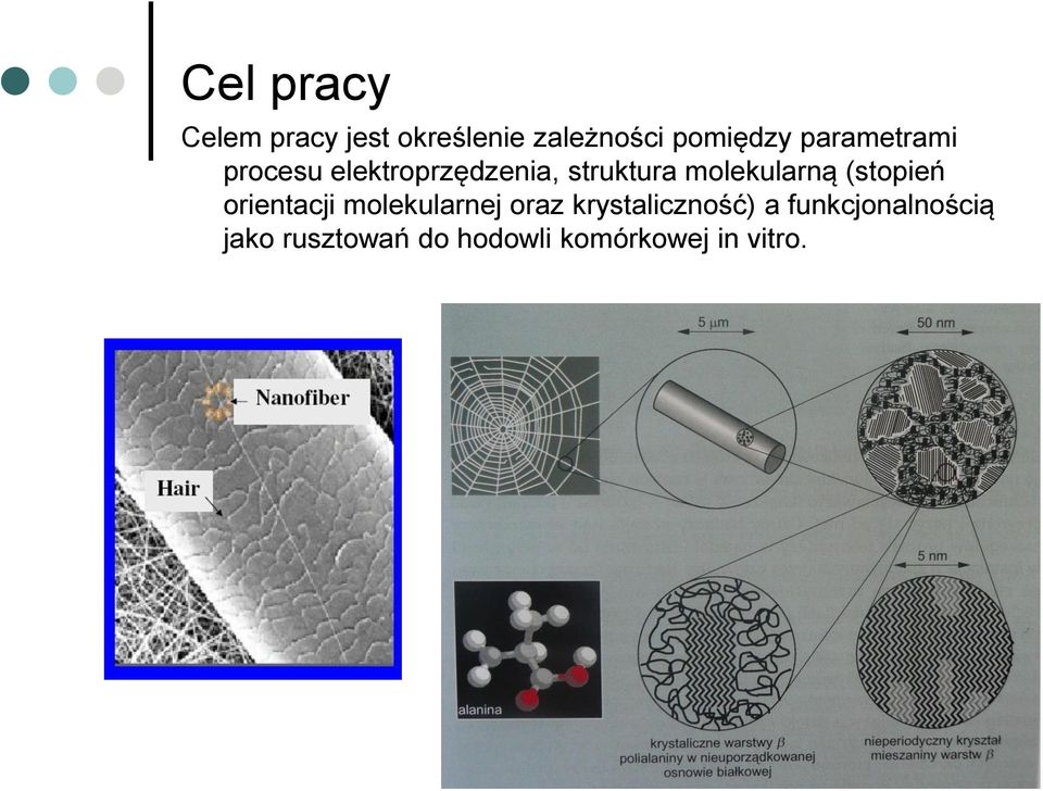 molekularną (stopień orientacji molekularnej oraz