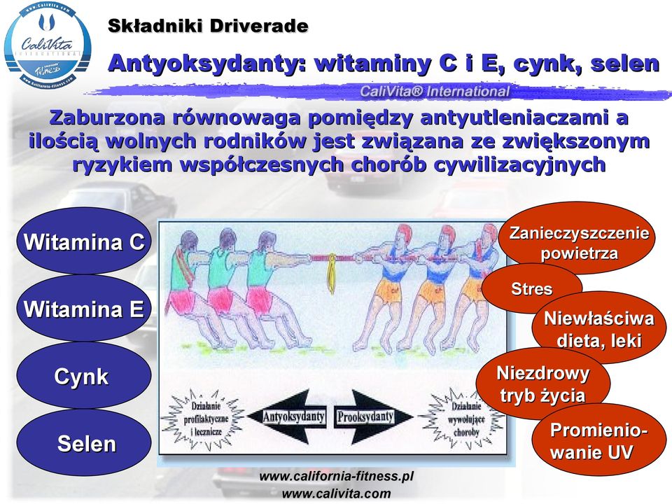 ryzykiem współczesnych chorób cywilizacyjnych Witamina C Witamina E Cynk Selen