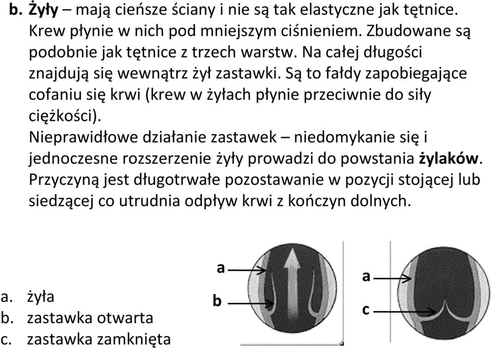 Są to fałdy zapobiegające cofaniu się krwi (krew w żyłach płynie przeciwnie do siły ciężkości).