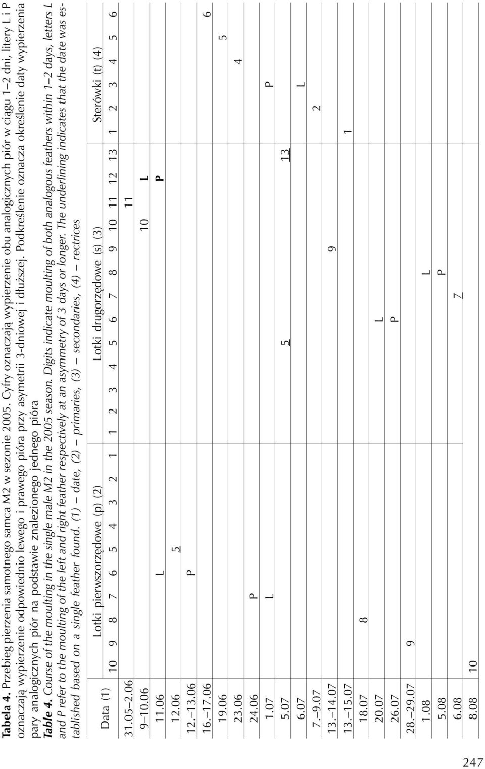 Podkreślenie oznacza określenie daty wypierzenia pary analogicznych piór na podstawie znalezionego jednego pióra Table 4. Course of the moulting in the single male M2 in the 2005 season.