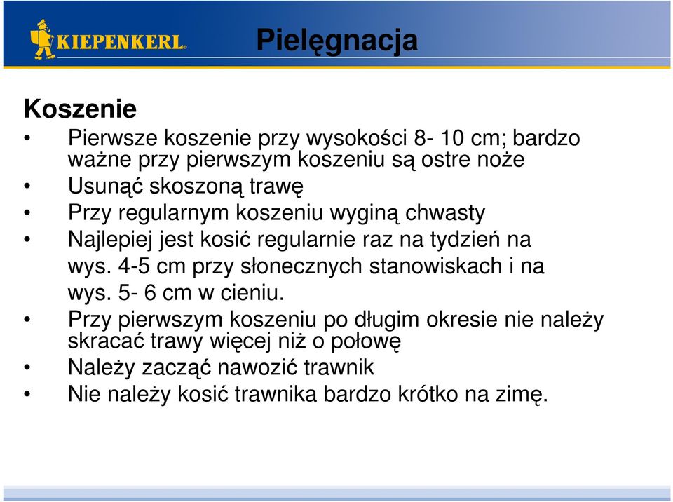 wys. 4-5 cm przy słonecznych stanowiskach i na wys. 5-6 cm w cieniu.