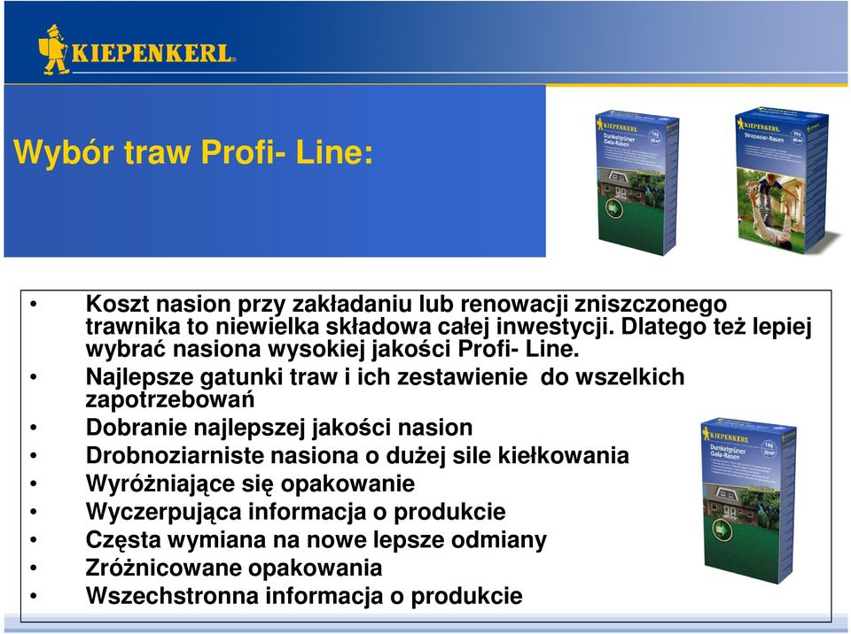 Najlepsze gatunki traw i ich zestawienie do wszelkich zapotrzebowań Dobranie najlepszej jakości nasion Drobnoziarniste nasiona