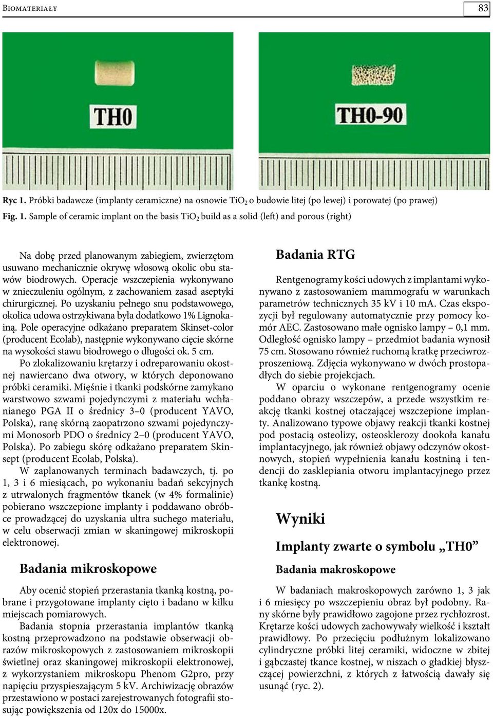 Sample of ceramic implant on the basis TiO 2 build as a solid (left) and porous (right) Na dobę przed planowanym zabiegiem, zwierzętom usuwano mechanicznie okrywę włosową okolic obu stawów biodrowych.