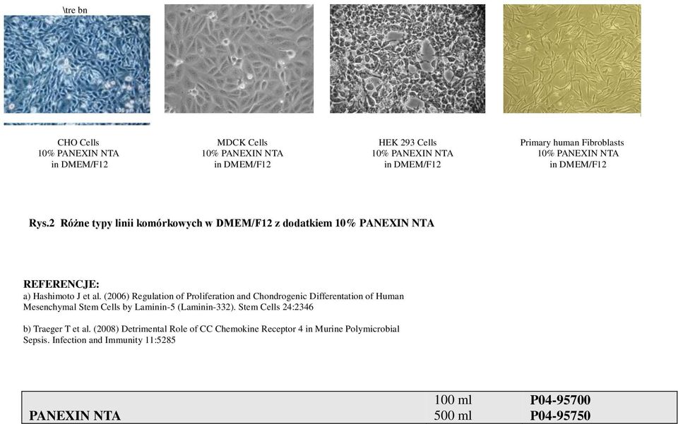 (2006) Regulation of Proliferation and Chondrogenic Differentation of Human Mesenchymal Stem Cells by Laminin-5 (Laminin-332).