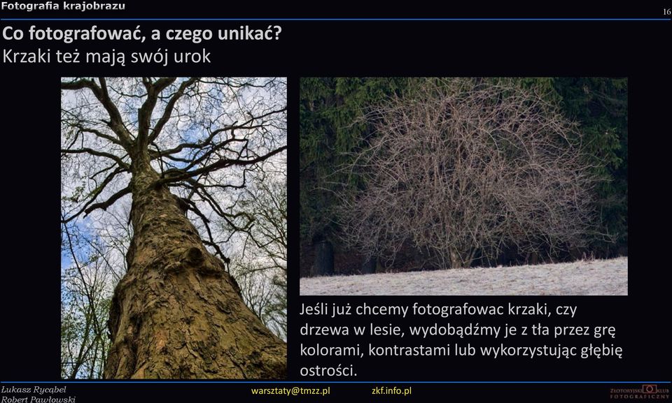fotografowac krzaki, czy drzewa w lesie, wydobądźmy