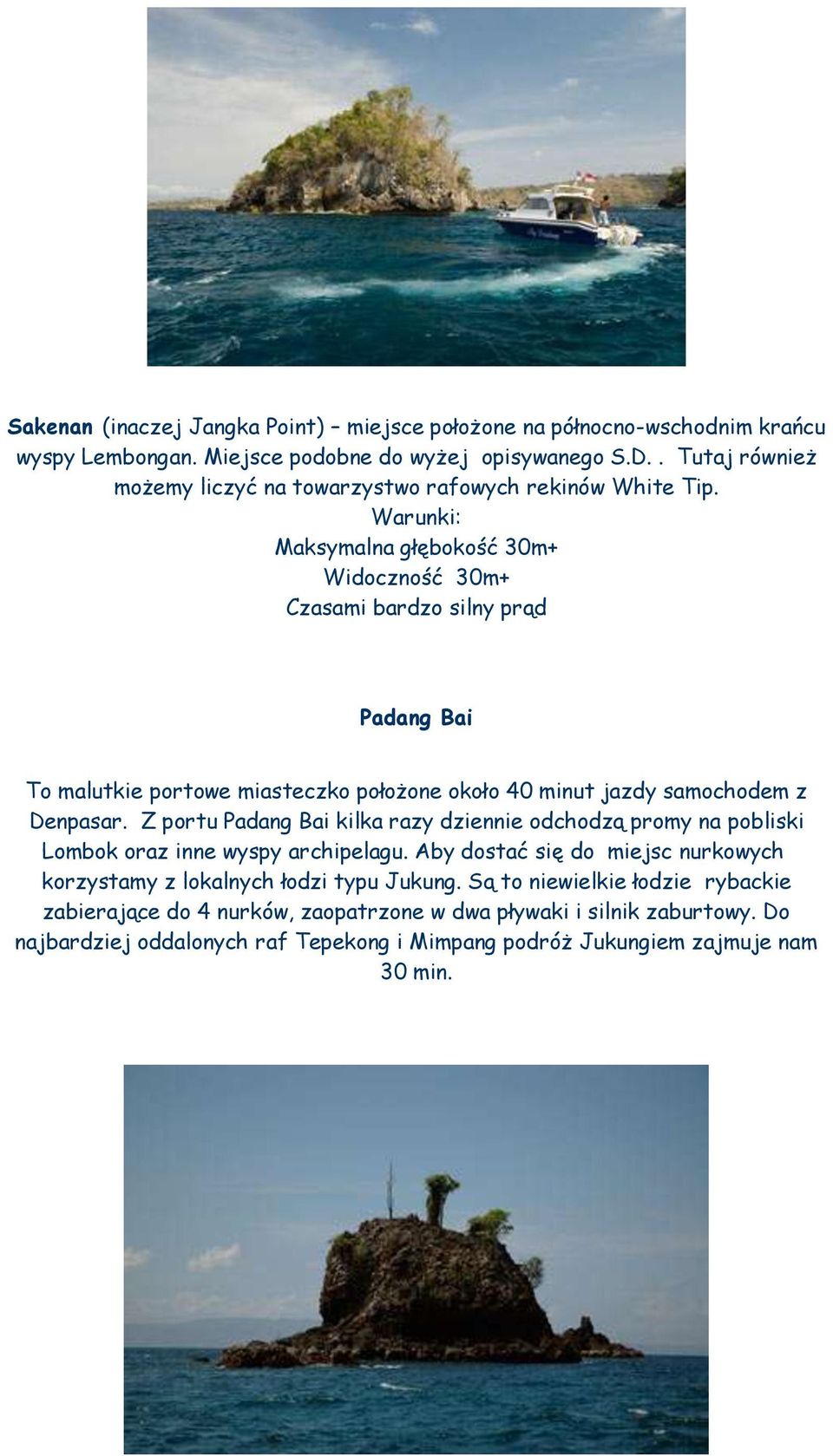 Maksymalna głębokość 30m+ Widoczność 30m+ Czasami bardzo silny prąd Padang Bai To malutkie portowe miasteczko położone około 40 minut jazdy samochodem z Denpasar.