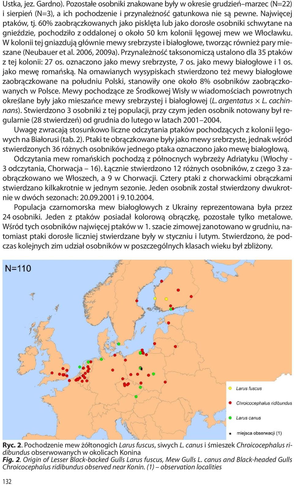 W kolonii tej gniazdują głównie mewy srebrzyste i białogłowe, tworząc również pary mieszane (Neubauer et al. 2006, 2009a). Przynależność taksonomiczą ustalono dla 35 ptaków z tej kolonii: 27 os.