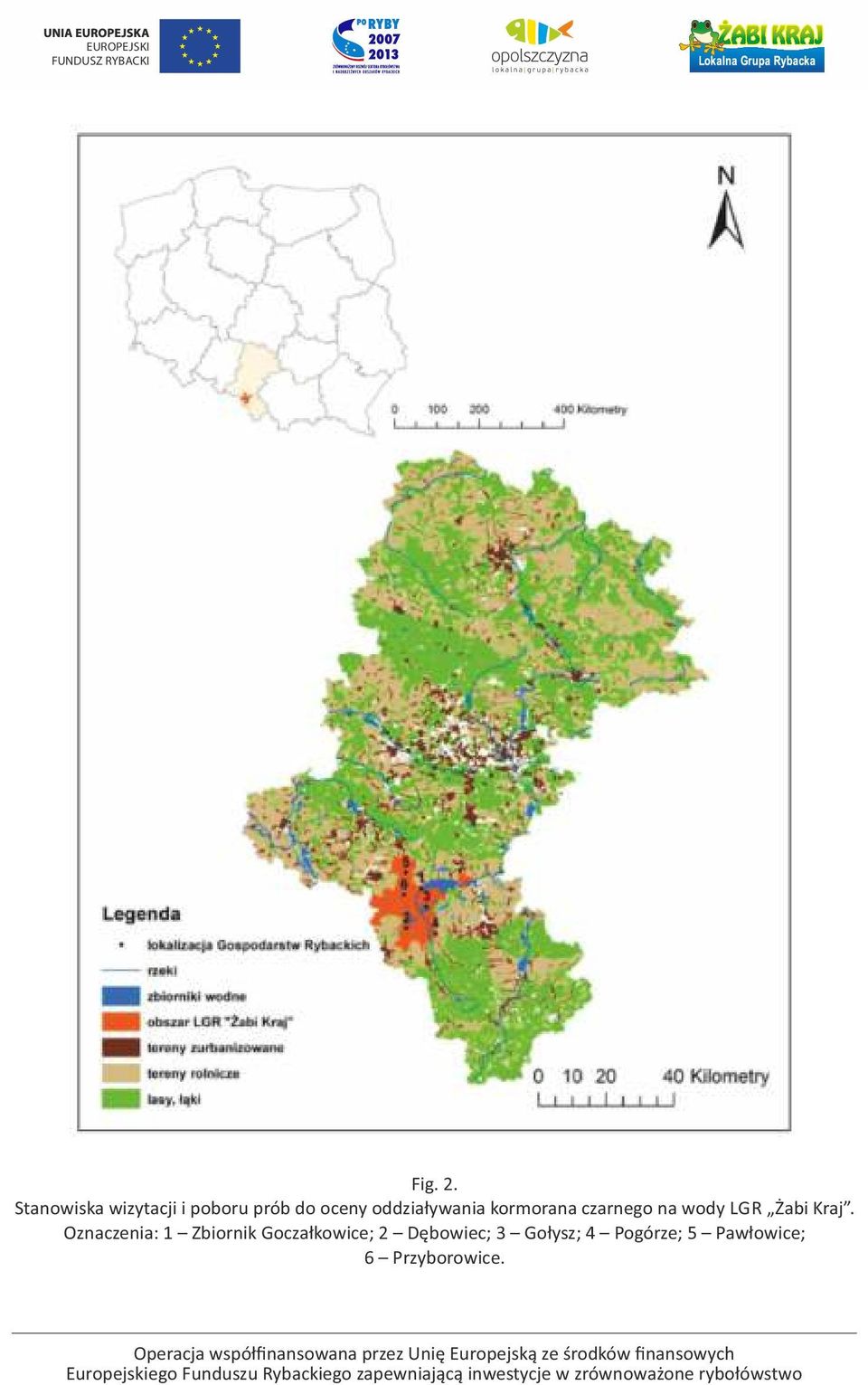 oddziaływania kormorana czarnego na wody LGR Żabi