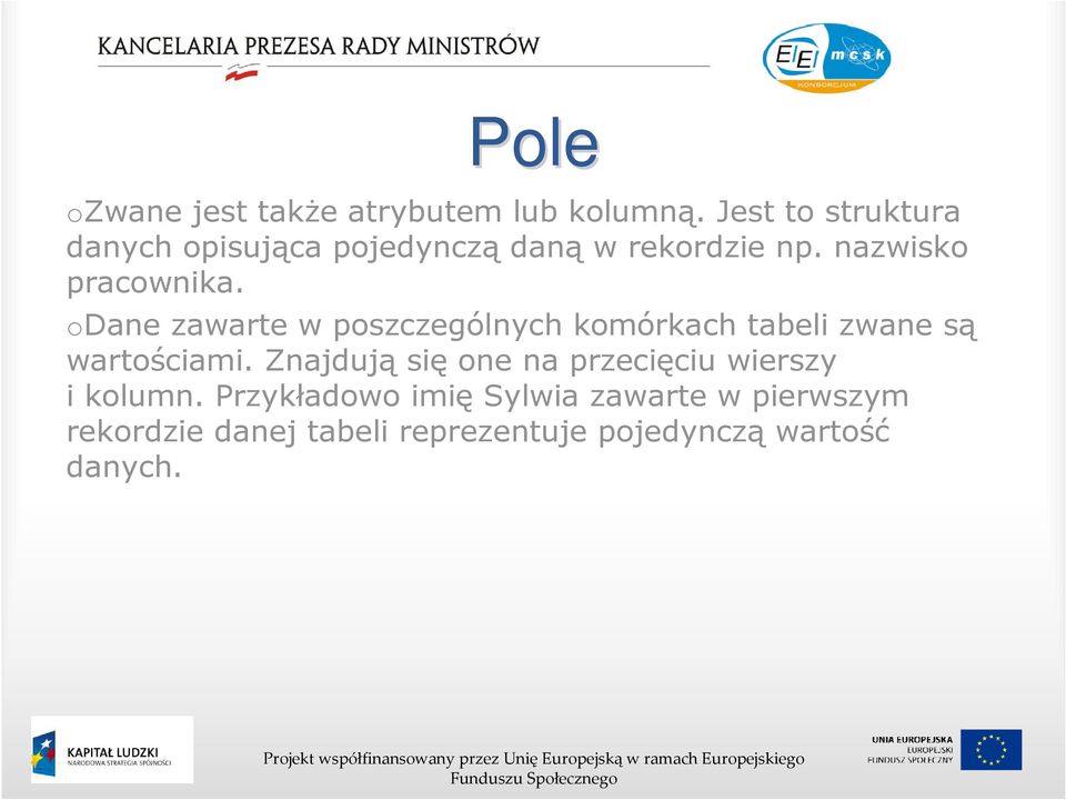 odane zawarte w poszczególnych komórkach tabeli zwane są wartościami.