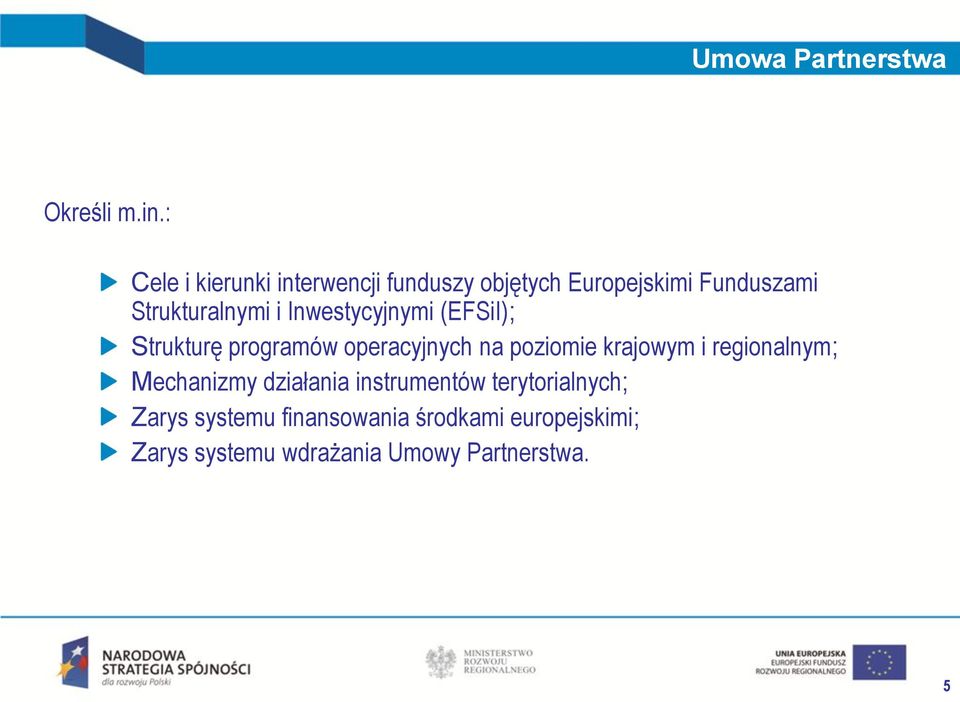 Inwestycyjnymi (EFSiI); Strukturę programów operacyjnych na poziomie krajowym i