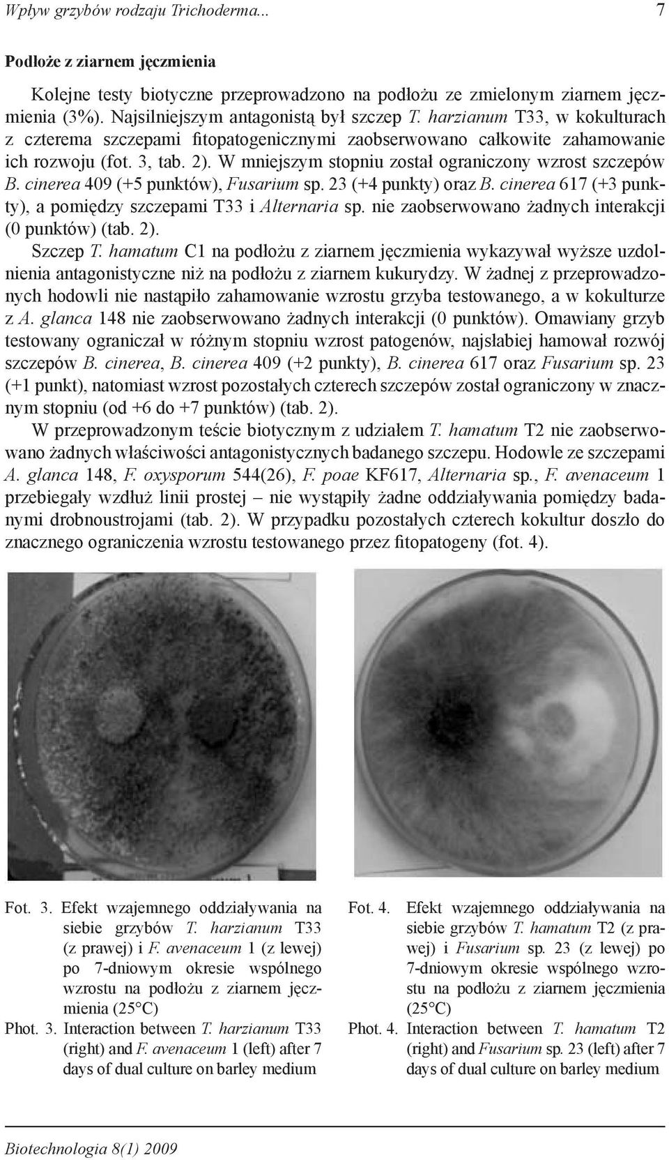 cinerea 409 (+5 punktów), Fusarium sp. 23 (+4 punkty) oraz B. cinerea 617 (+3 punkty), a pomiędzy szczepami T33 i Alternaria sp. nie zaobserwowano żadnych interakcji (0 punktów) (tab. 2). Szczep T.