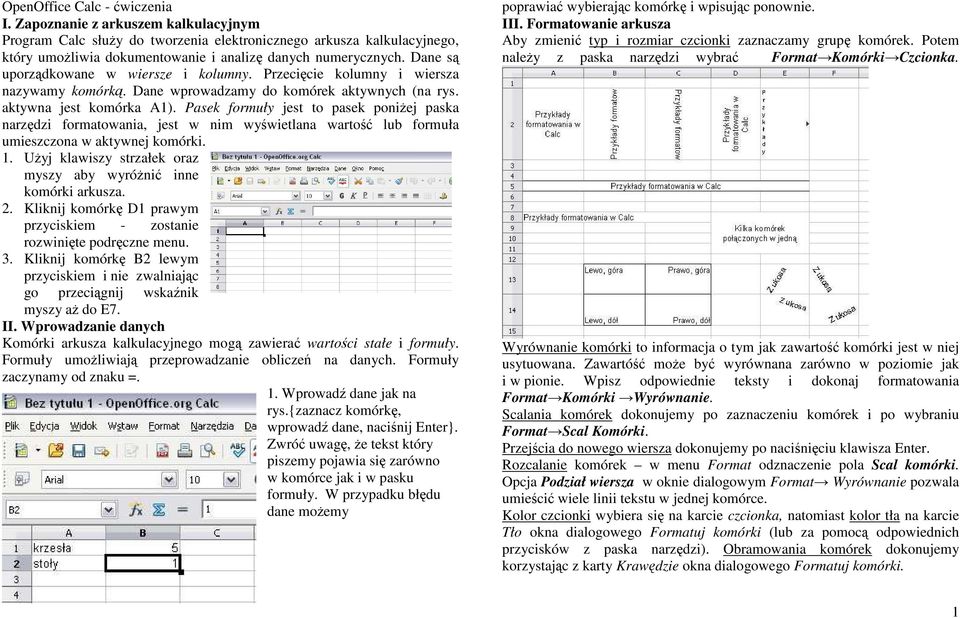 Pasek formuły jest to pasek poniŝej paska narzędzi formatowania, jest w nim wyświetlana wartość lub formuła umieszczona w aktywnej komórki. 1.