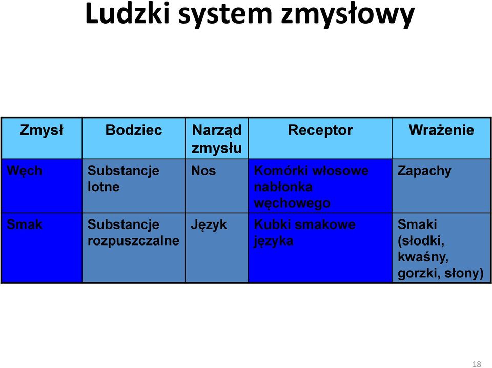 Receptor Komórki włosowe nabłonka węchowego Kubki smakowe