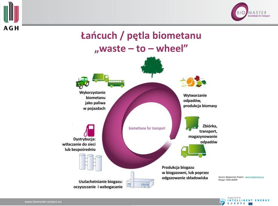 Biogasmax Project - www.