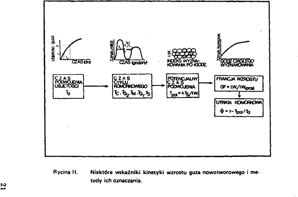 FRAKCJA WZROSTU 'pot" UTRATA Rycina II.