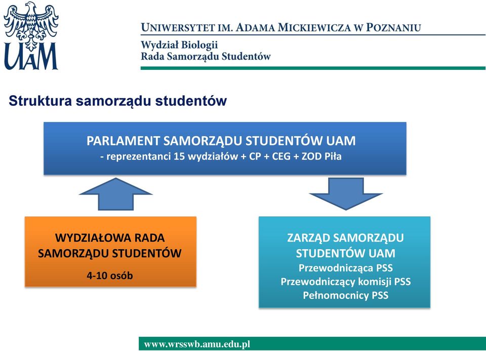 RADA SAMORZĄDU STUDENTÓW 4-10 osób ZARZĄD SAMORZĄDU STUDENTÓW