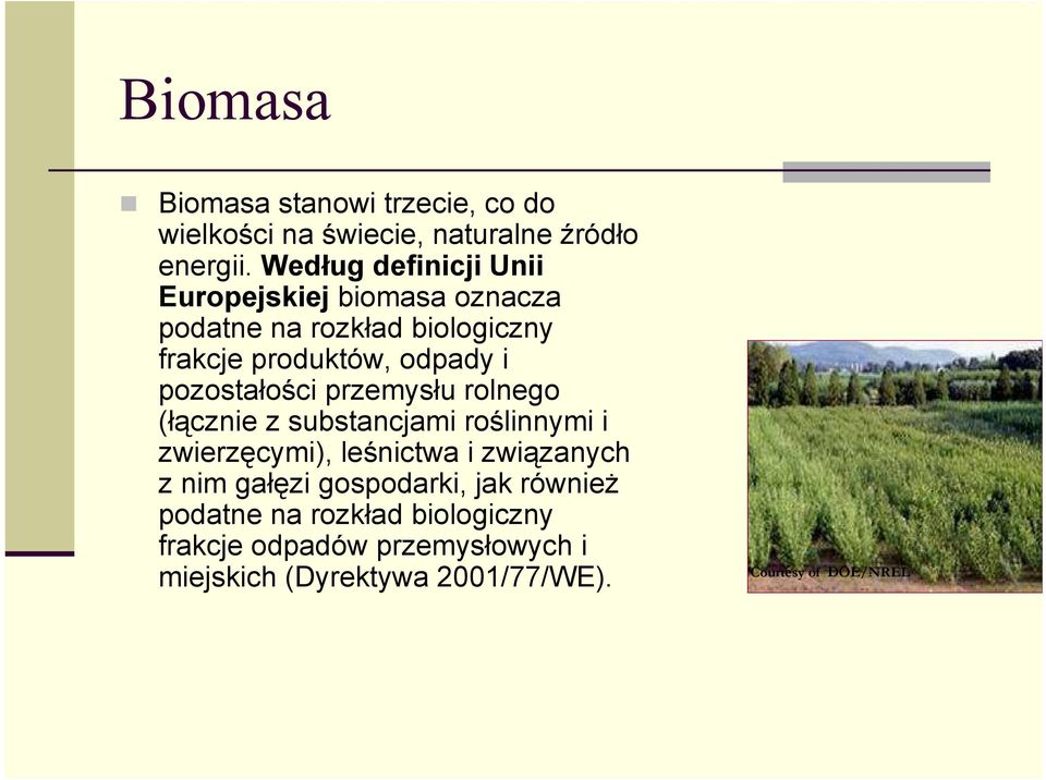 pozostałości przemysłu rolnego (łącznie z substancjami roślinnymi i zwierzęcymi), leśnictwa i związanych z nim