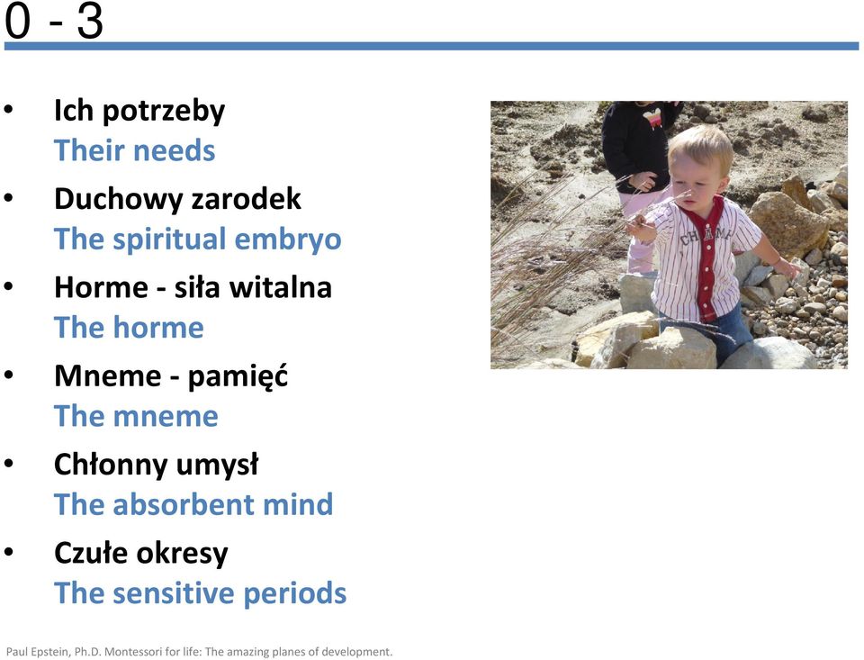 horme Mneme - pamięć The mneme Chłonny umysł