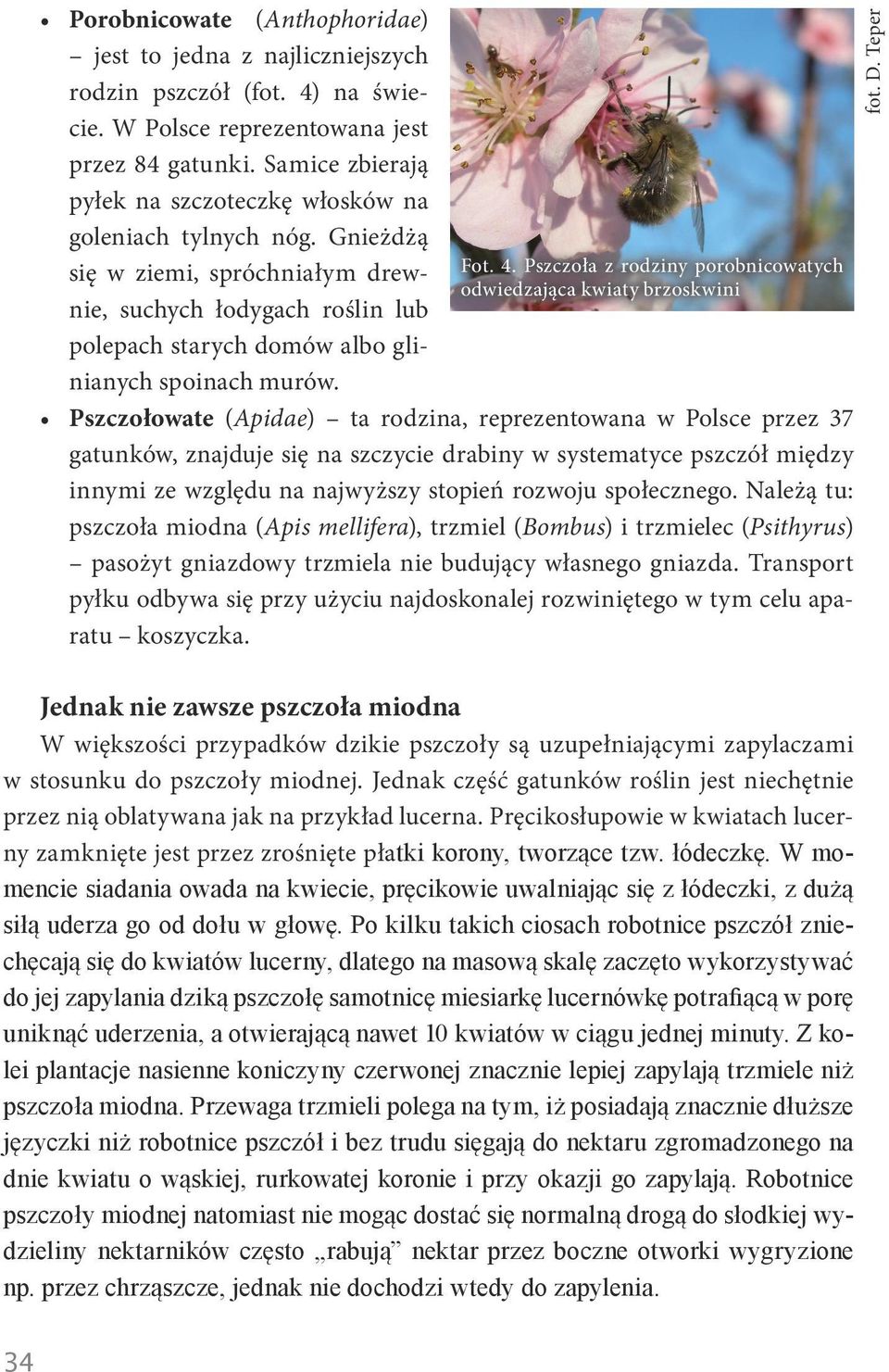 Fot. 4.