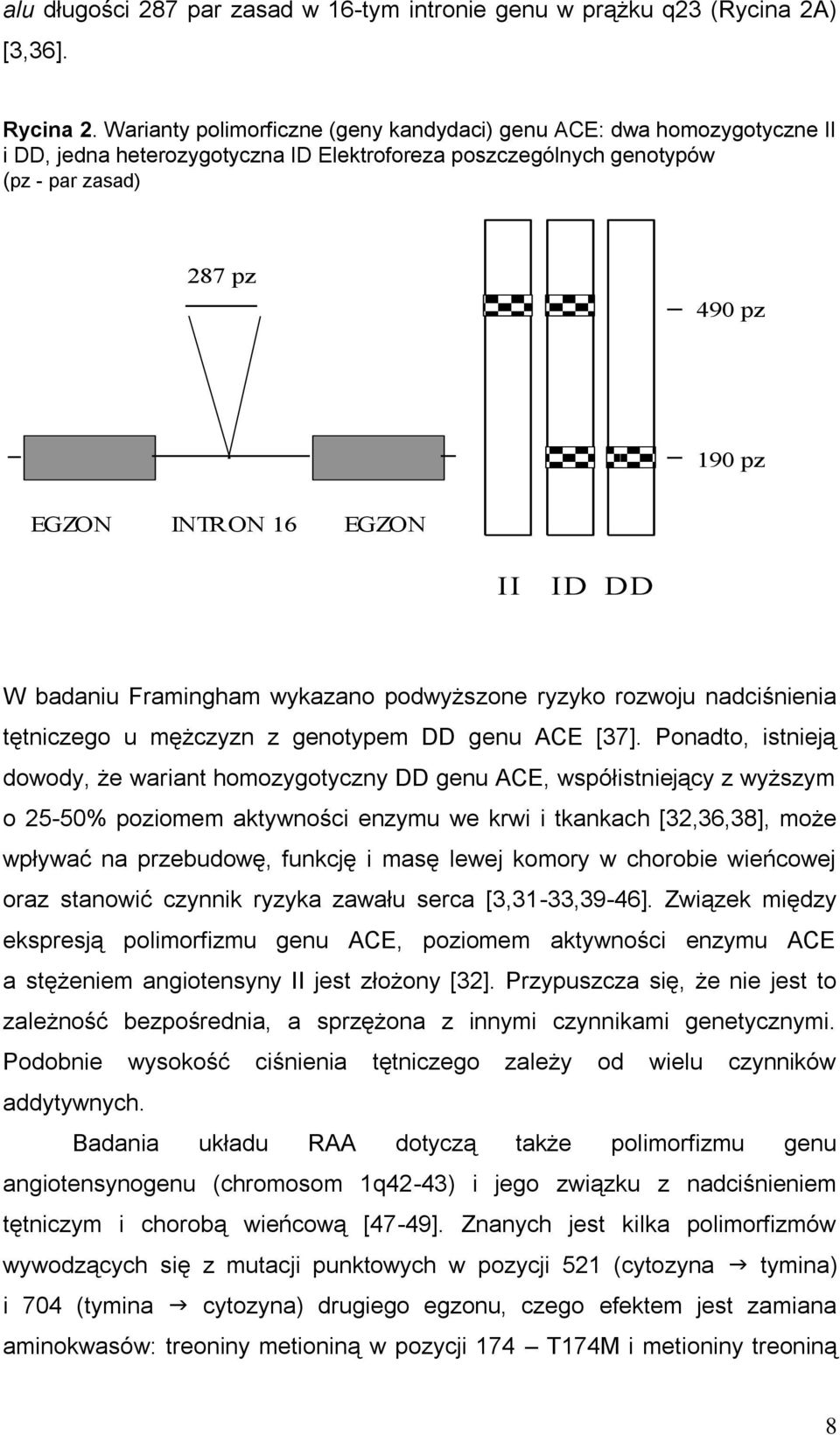 EGZON II ID DD W badaniu Framingham wykazano podwyższone ryzyko rozwoju nadciśnienia tętniczego u mężczyzn z genotypem DD genu ACE [37].