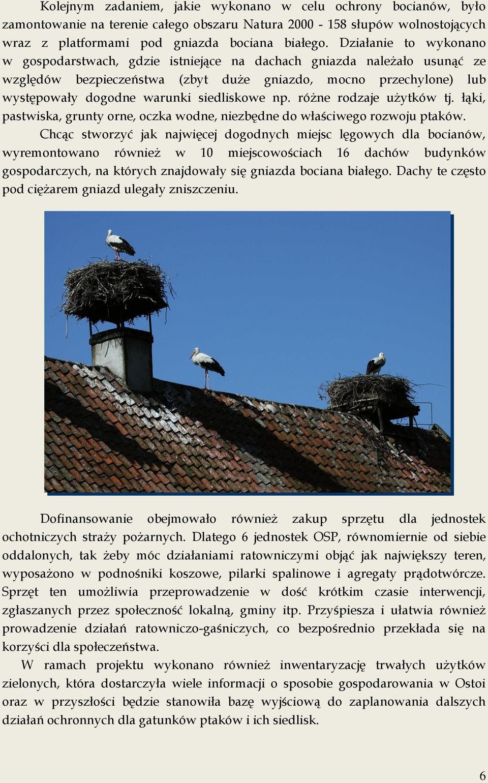 siedliskowe np. różne rodzaje użytków tj. łąki, pastwiska, grunty orne, oczka wodne, niezbędne do właściwego rozwoju ptaków.