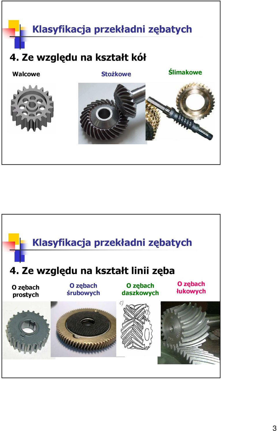 zględu na kształt linii zęba O zębach postych O zębach