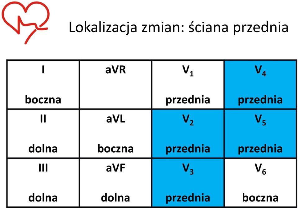 V 2 V 5 dolna boczna przednia przednia