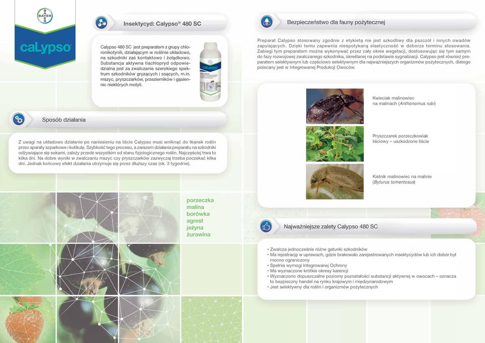 Preparat Calypso stosowany zgodnie z etykietą nie jest szkodliwy dla pszczół i innych owadów zapylających. Dzięki temu zapewnia niespotykaną elastyczność w doborze terminu stosowania.