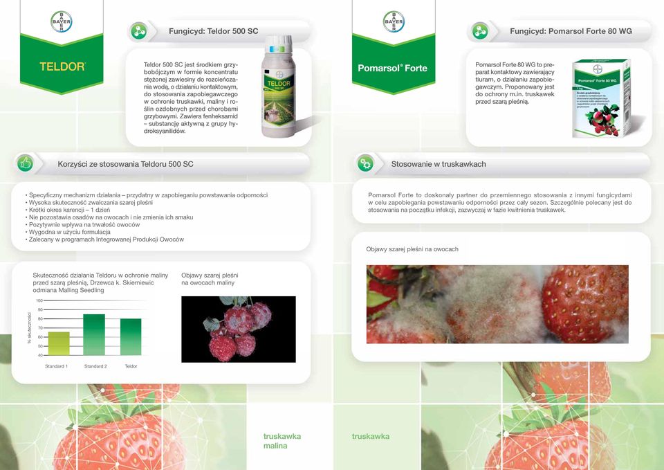 Pomarsol Forte 80 WG to preparat kontaktowy zawierający tiuram, o działaniu zapobiegawczym. Proponowany jest do ochrony m.in. truskawek przed szarą pleśnią.