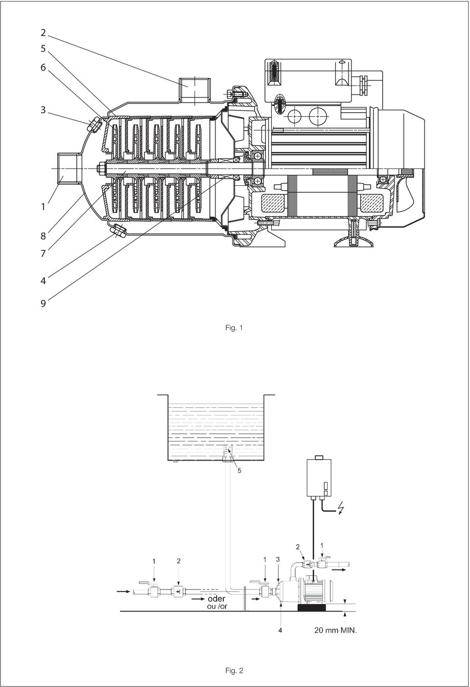 Fig. 1