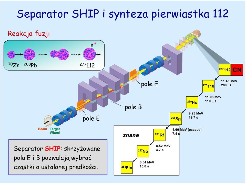 08 MeV 110 µ s znane 261 Rf 4.60 MeV (escape) 7.