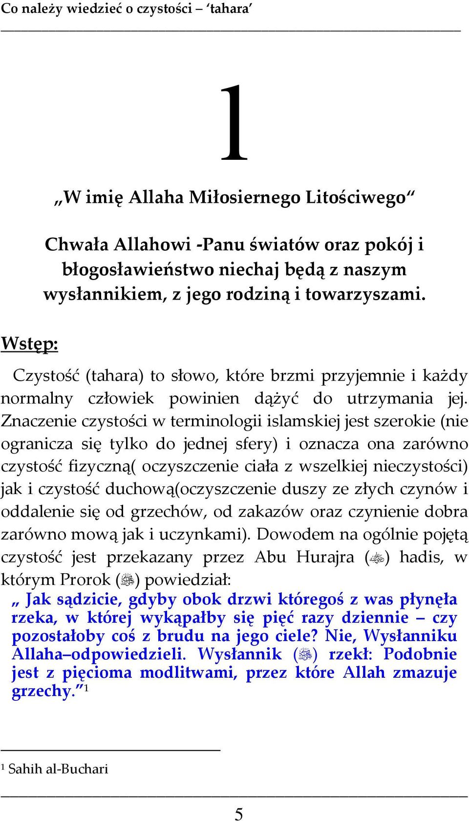 Znaczenie czystości w terminologii islamskiej jest szerokie (nie ogranicza się tylko do jednej sfery) i oznacza ona zarówno czystość fizyczną( oczyszczenie ciała z wszelkiej nieczystości) jak i