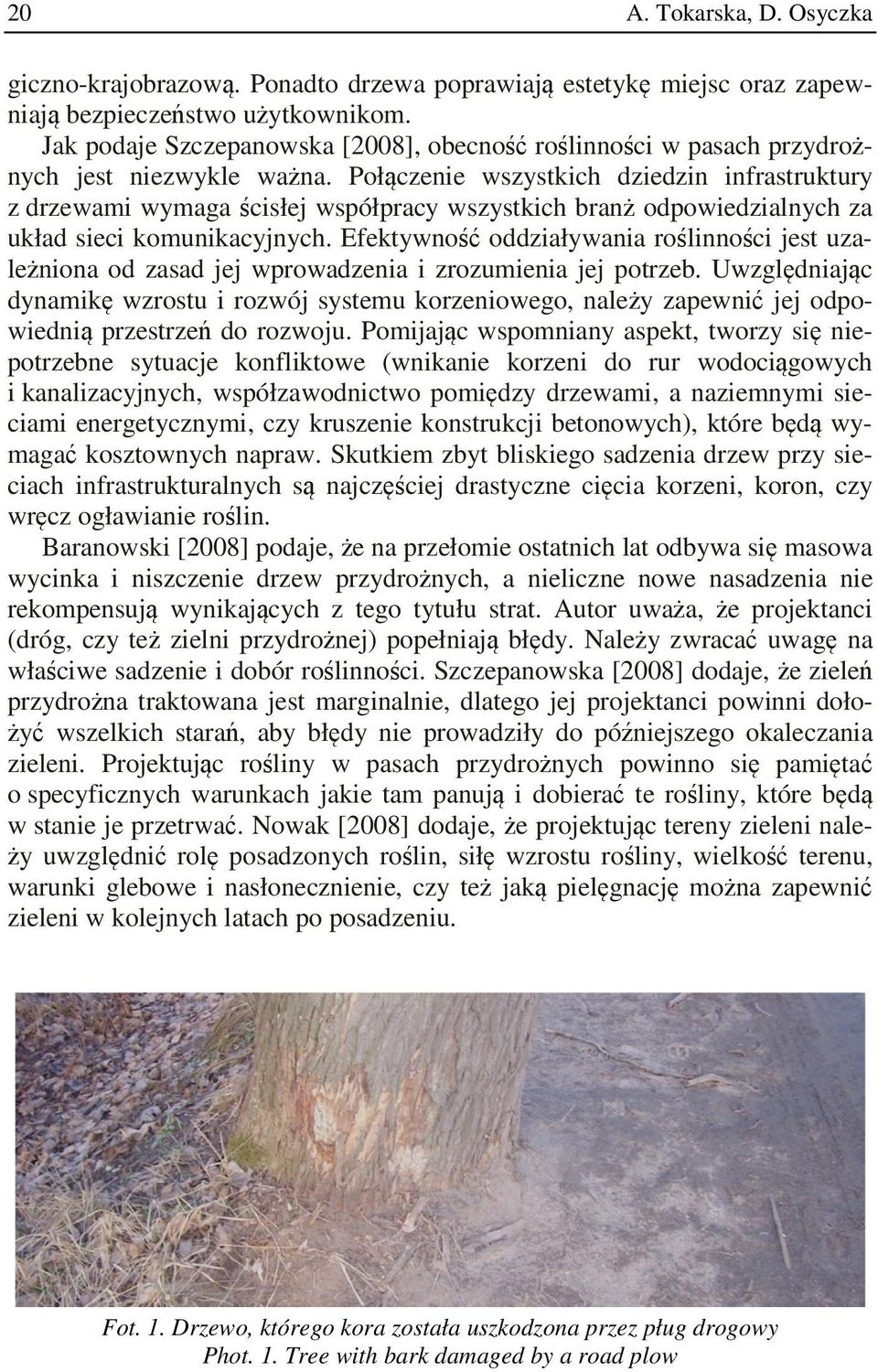 Połączenie wszystkich dziedzin infrastruktury z drzewami wymaga ścisłej współpracy wszystkich branż odpowiedzialnych za układ sieci komunikacyjnych.