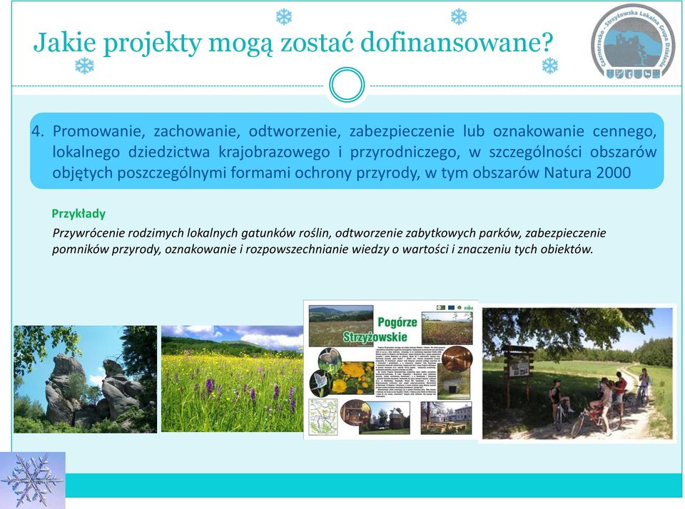 tym obszarów Natura 2000 Przykłady Przywrócenie rodzimych lokalnych gatunków roślin, odtworzenie zabytkowych