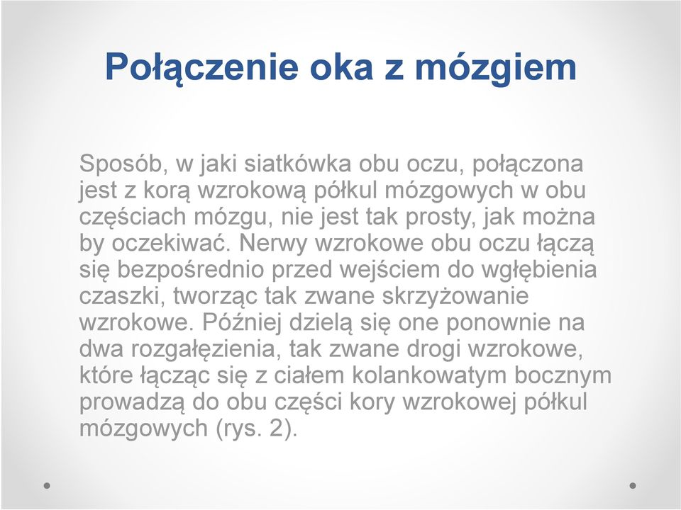 Nerwy wzrokowe obu oczu łączą ą się bezpośrednio przed wejściem do wgłębienia czaszki, tworząc tak zwane skrzyżowanie