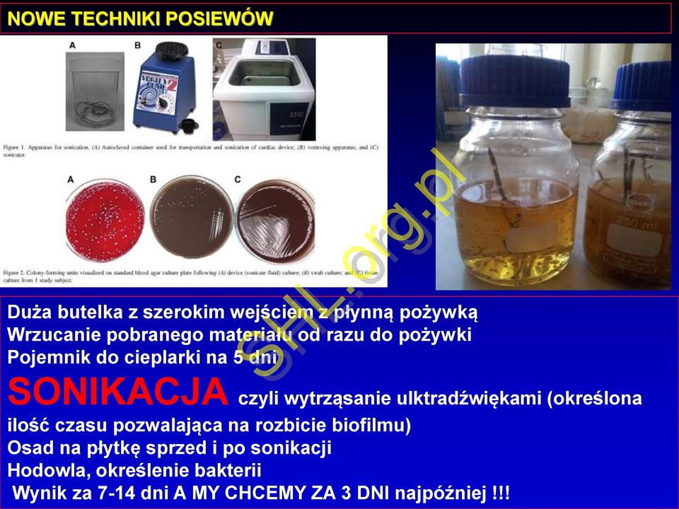 ulktradźwiękami (określona ilość czasu pozwalająca na rozbicie biofilmu) Osad na płytkę