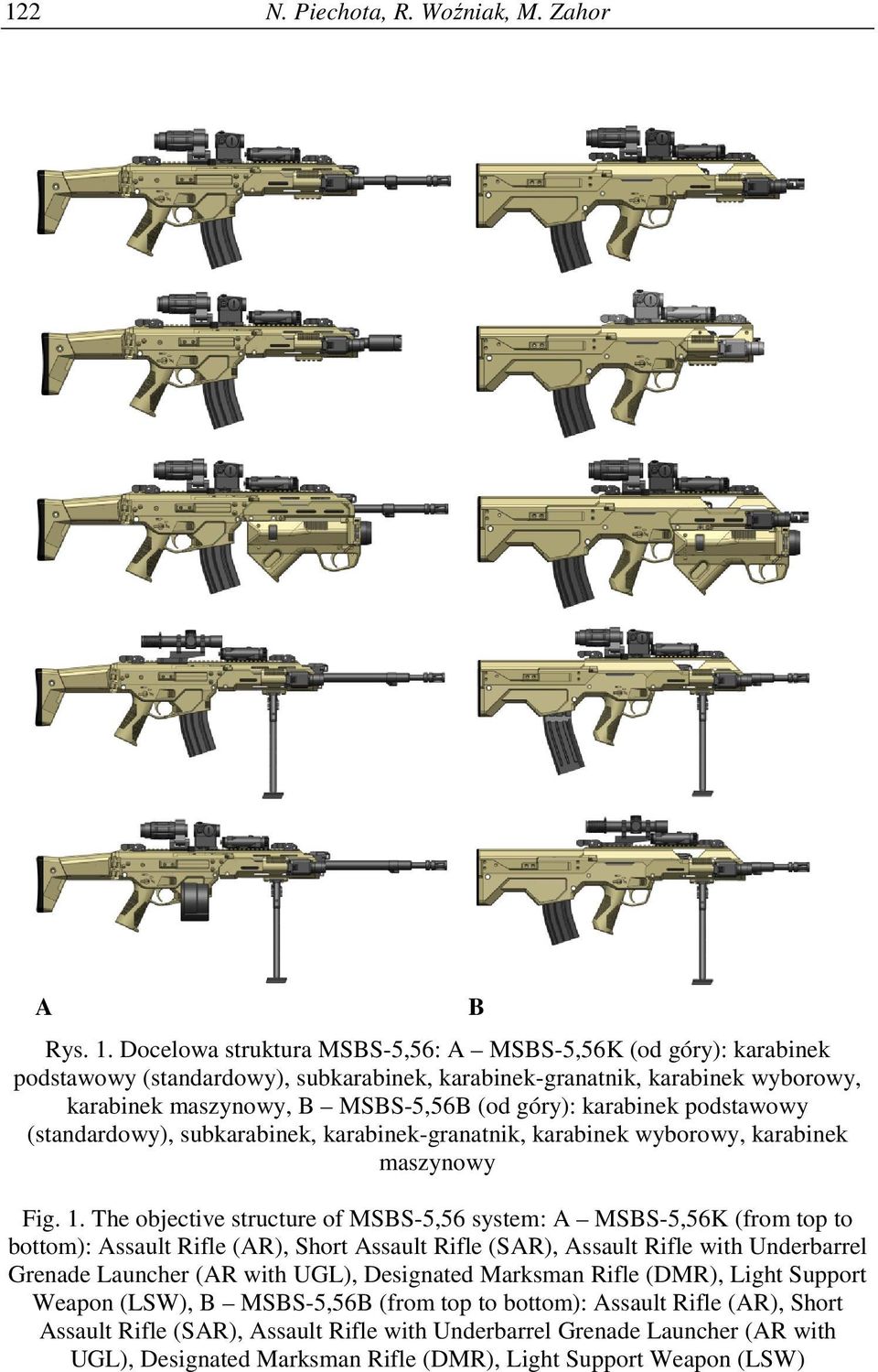 podstawowy (standardowy), subkarabinek, karabinek-granatnik, karabinek wyborowy, karabinek maszynowy Fig. 1.