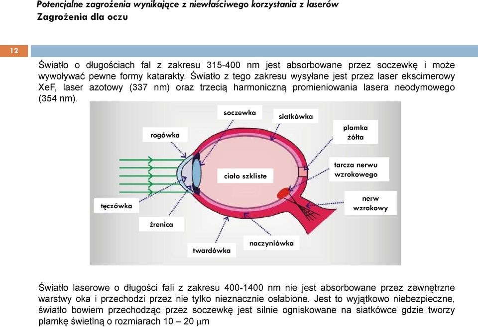 Tarcza Nerwu Wzrokowego Jest Miejscem Najostrzejszego Widzenia POTENCJALNE ZAGROŻENIA WYNIKAJĄCE Z NIEWŁAŚCIWEGO KORZYSTANIA Z LASERÓW