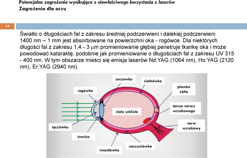 Dla niektórych długości fal z zakresu 1,4-3 m promieniowanie głębiej penetruje tkankę oka i może powodować kataraktę, podobnie jak