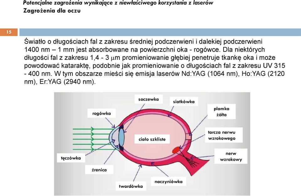 Dla niektórych długości fal z zakresu 1,4-3 m promieniowanie głębiej penetruje tkankę oka i może powodować kataraktę, podobnie jak