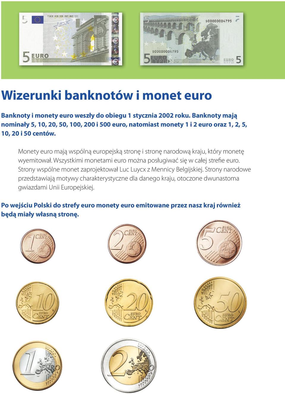 Monety euro mają wspólną europejską stronę i stronę narodową kraju, który monetę wyemitował. Wszystkimi monetami euro można posługiwać się w całej strefie euro.