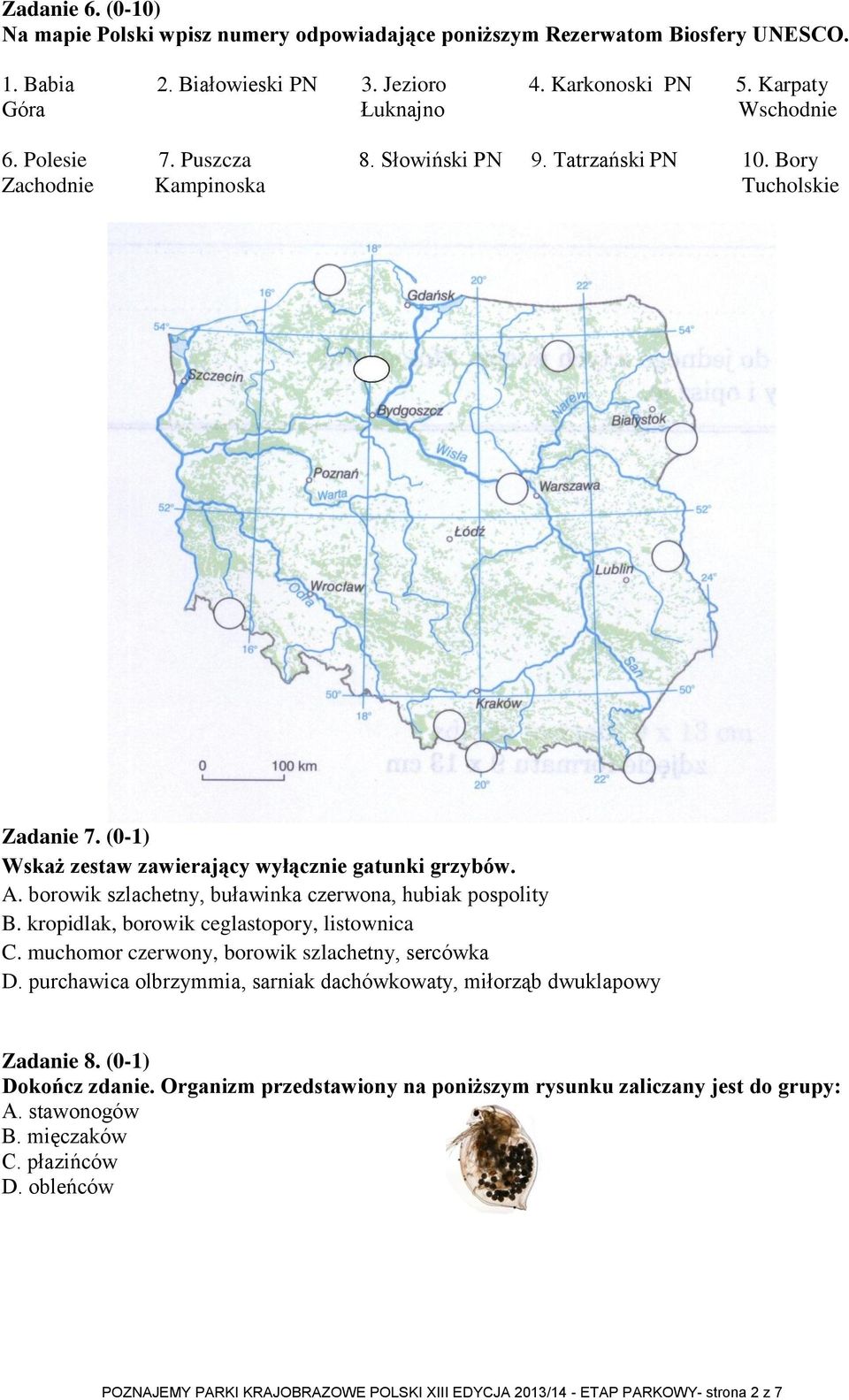 borowik szlachetny, buławinka czerwona, hubiak pospolity B. kropidlak, borowik ceglastopory, listownica C. muchomor czerwony, borowik szlachetny, sercówka D.