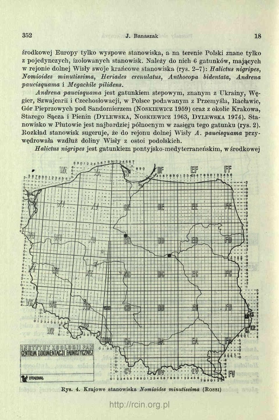2-7 ) : Halicłus nigripes, Nomioides minutissima, Heriades crenulatus, Anthocopa bidentata, Andrena paucisquama i MegacMle pilidens.