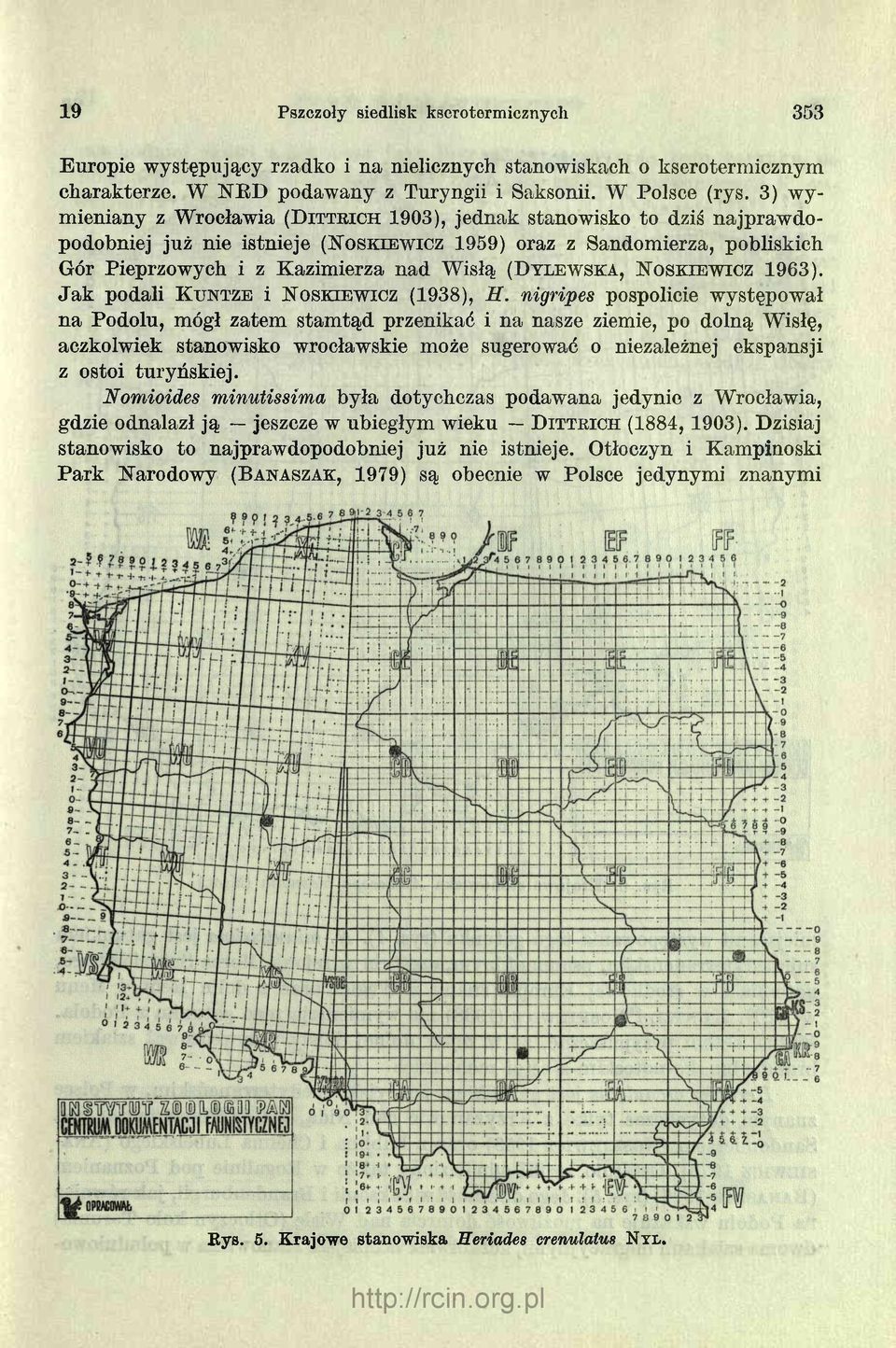 Wisłą (D y le w s k a, ISToskiewicz 1963). Jak podali K u n tz e i 1STo sk ie w ic z (1938), H.