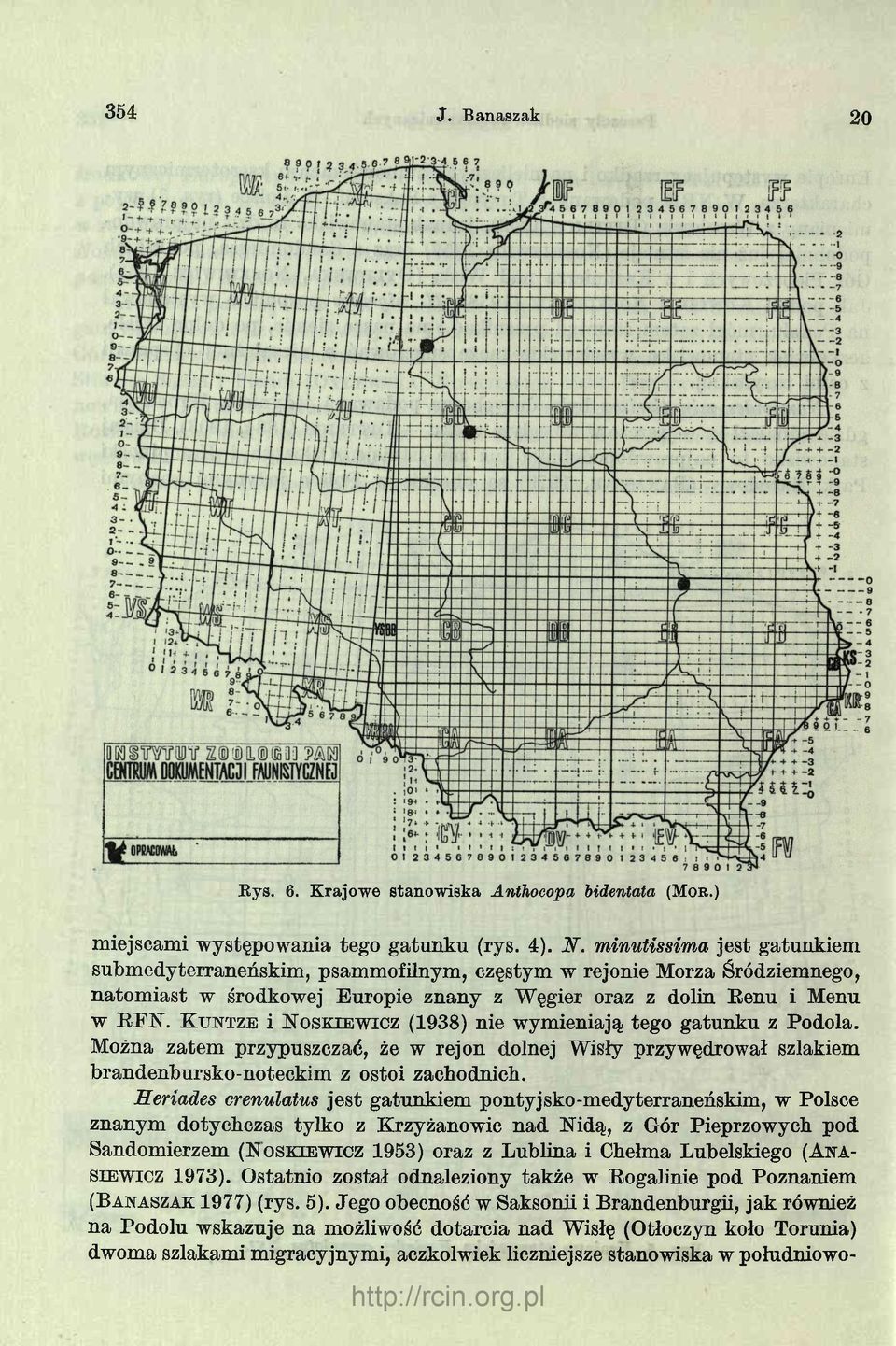 K u n tz e i N o s k ie w ic z (1938) nie wymieniają tego gatunku z Podola. Można zatem przypuszczać, że w rejon dolnej Wisły przywędrował szlakiem brandenbursko-noteckim z ostoi zachodnich.