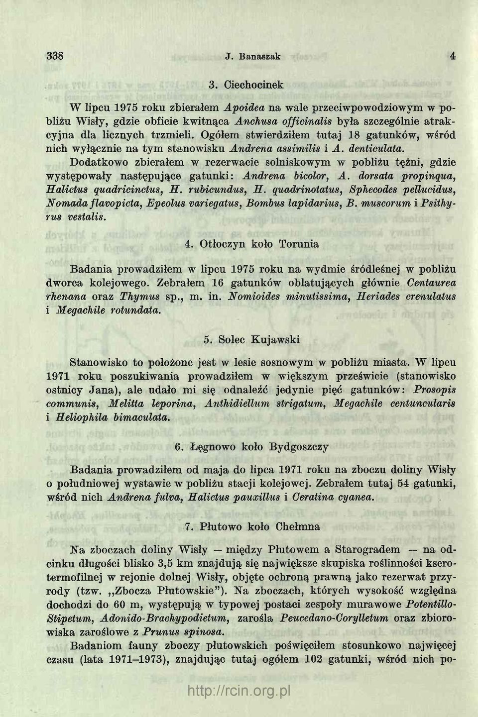 Ogółem stwierdziłem tutaj 18 gatunków, wśród nich wyłącznie na tym stanowisku Andrena assimilis i A. denticulata.