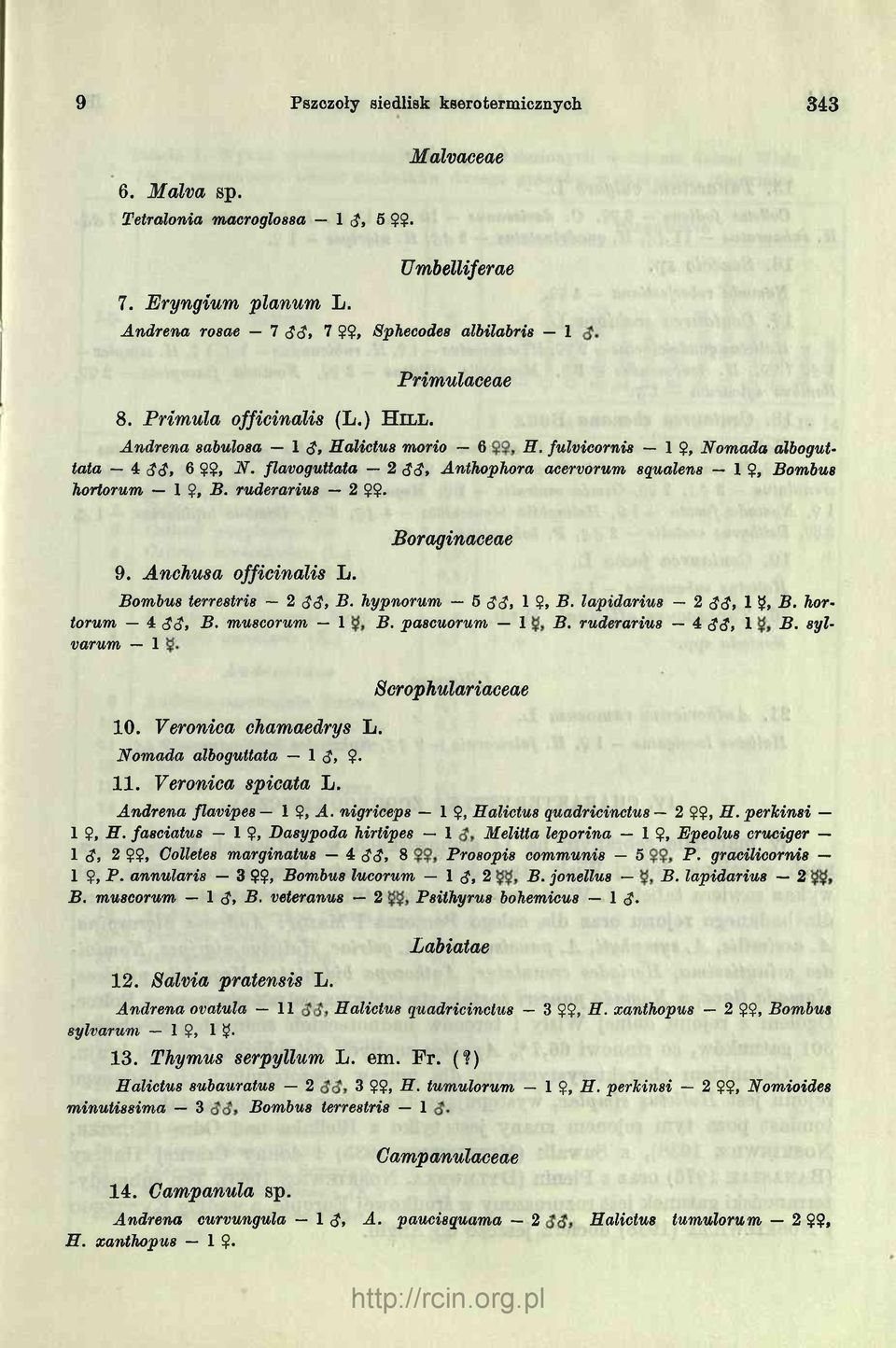 cj> Änthophora acervorum squalens 1 $, Bombus hortorum 1?, P. ruderarius 2 $$. Boraginaceae 9. Anchusa officinalis L. Bombus terrestris 2 <J<?, B. hypnorum 5 S3, 1 Ç, P. lapidarius 2 <J<J, 1 ÿ, В.