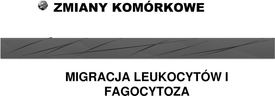 MIGRACJA