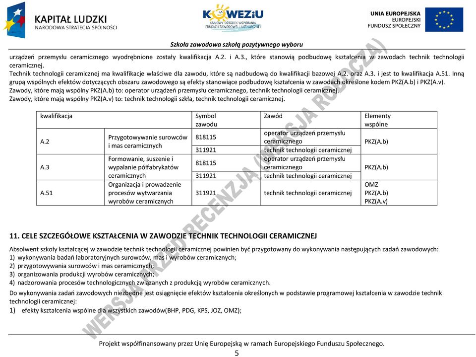 Inną grupą wspólnych efektów dotyczących obszaru zawodowego są efekty stanowiące podbudowę kształcenia w zawodach określone kodem KZ(A.b) i KZ(A.v). Zawody, które mają wspólny KZ(A.